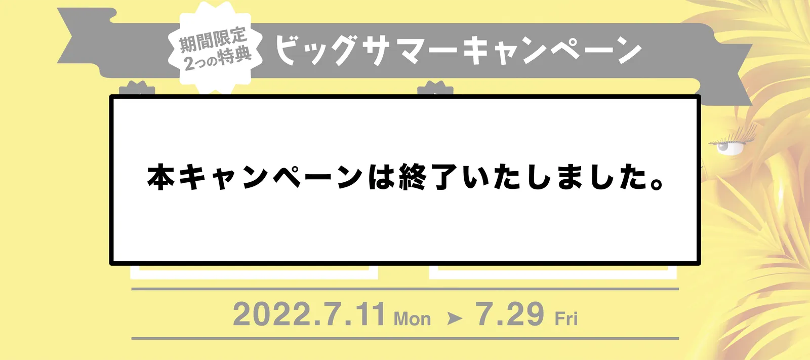 EDILENT ビッグサマーキャンペーン（手数料半額）